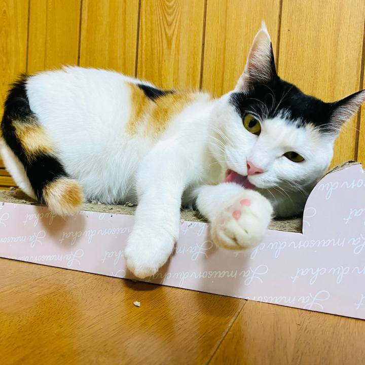 A7671405 5356 491f bee9 81c853ec52ee 1671575094991