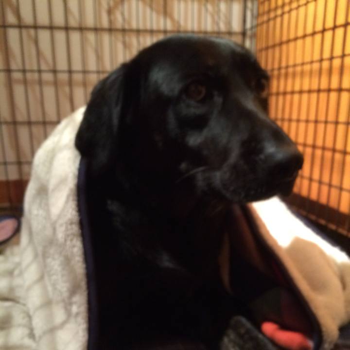 A7671d5c 6e54 4dd3 bfdf e6dc68e9c1c4 1529159518613