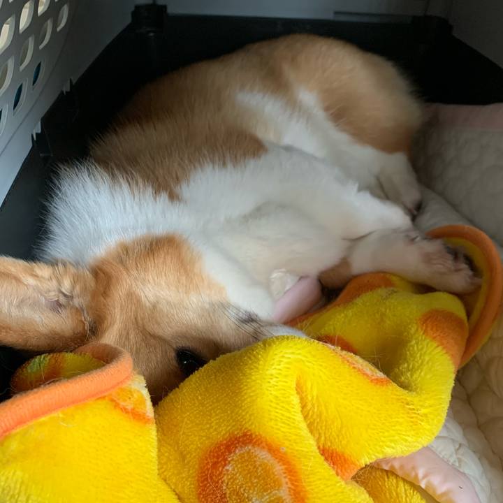 A767465a e763 46fe 8498 3b454708e6b5 1590120134140