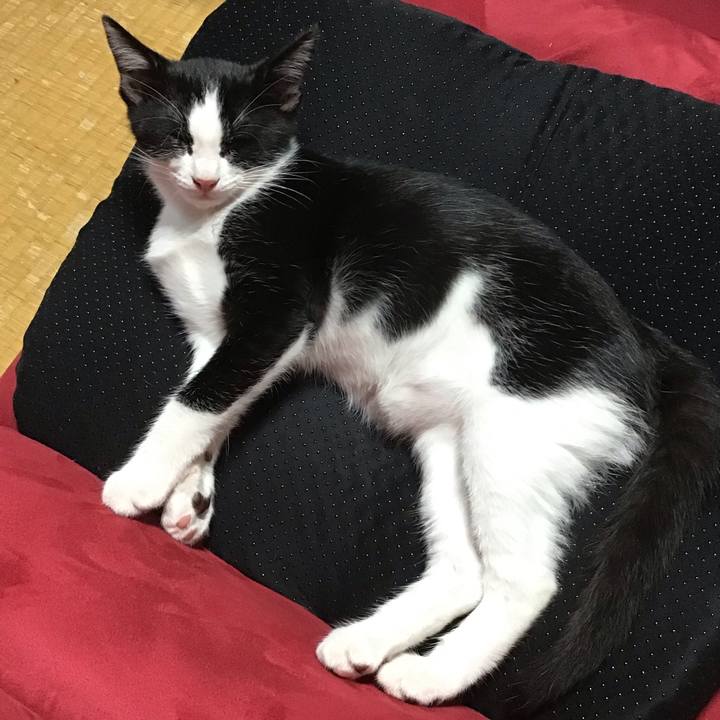 A76786cf 511f 4f95 959e ab5ac1fd1978 1626504192289