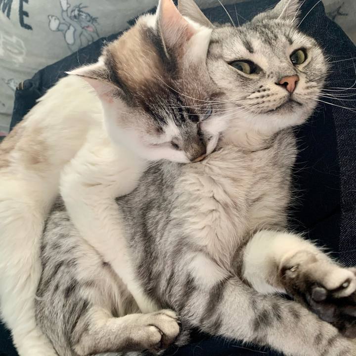 A7681651 d6bb 46a2 ab0e 6dbcda5491a9 1653258376485