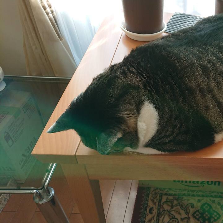 A7685cc0 c257 434a b673 22a6ae0f9c5c 1550984373193