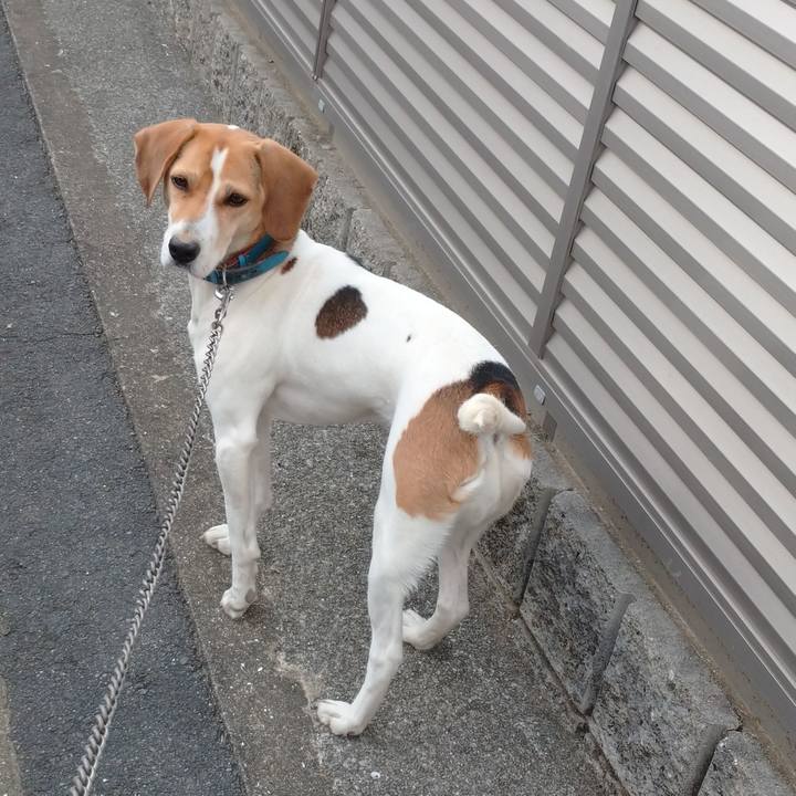 A7685e40 22e3 4fcb 8a9a 2cb769f6233e 1608303669484