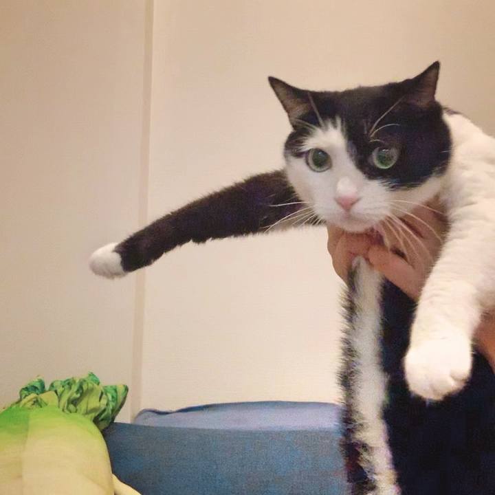 A76897b8 24c5 40c9 b2fb e61288d70425 1567342342789