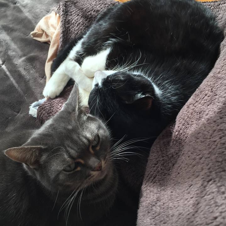 A768ca25 6b78 469f 8e6a cb07aa198f33 1517875389683