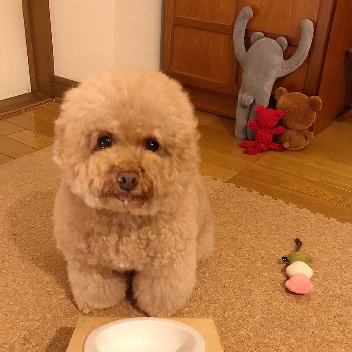 A7690708 e88f 45ea 9b06 381068bec74c 1508214770429