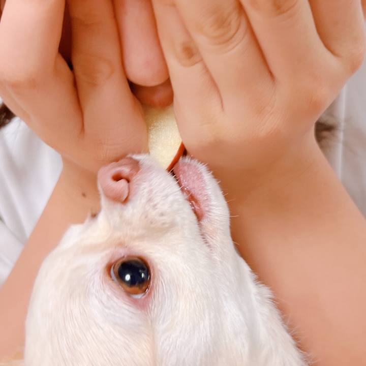 A7690ffd 5095 42ca 83fc 7840df8422e0 1669084293376