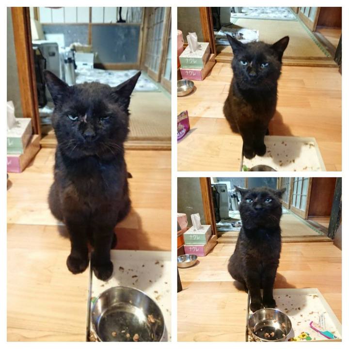 A76913a5 2cc7 4cb7 93e9 ba49caf8351c 1623497359411