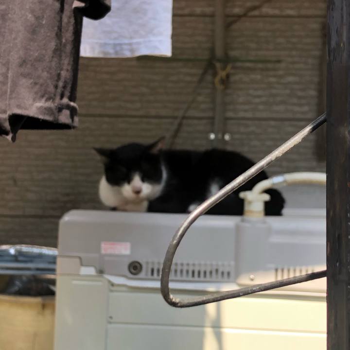 A76944b6 be7e 4b80 b64f 026c024ff11a 1623307830227