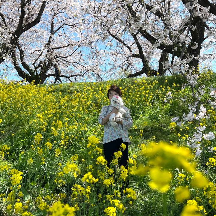 A7696c14 0c12 4077 8529 173bc84d5acd 1745366717392