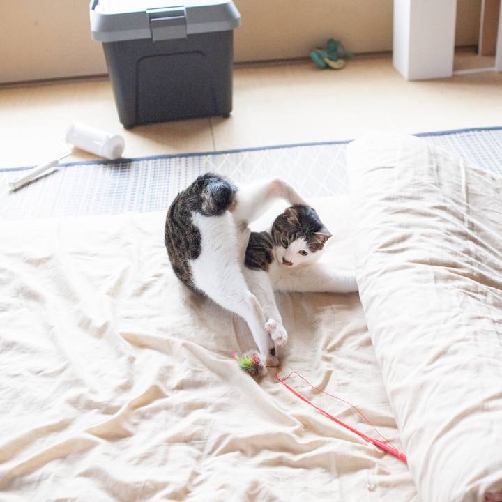 A769ab91 680c 434b b699 f70ff2aa8e02 1560609265538