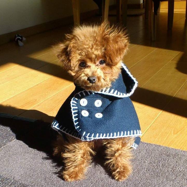 A769bb0e e688 4502 b9bf 75a5a889346c 1671283371644