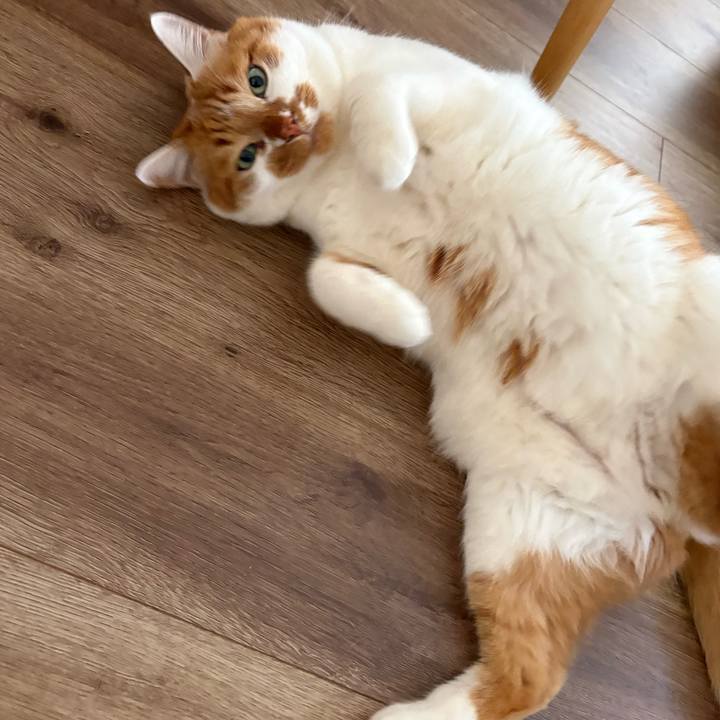 A769df0c 1c55 4144 a5db 4e0be583b4b8 1775186726794