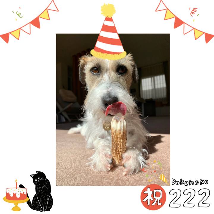 A76a358d 4e3e 4cef 8b7c d5031a96e071 1645522061852