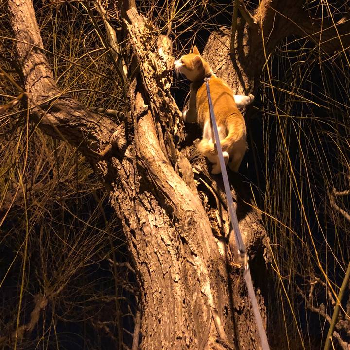 A76a7398 e9dc 4891 845f 6847bcde4cc7 1549452697510