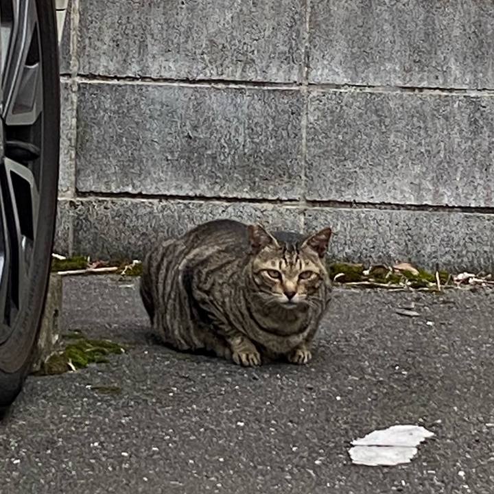 A76a9c2b f39a 499f a9d7 6e988390384d 1666510764194