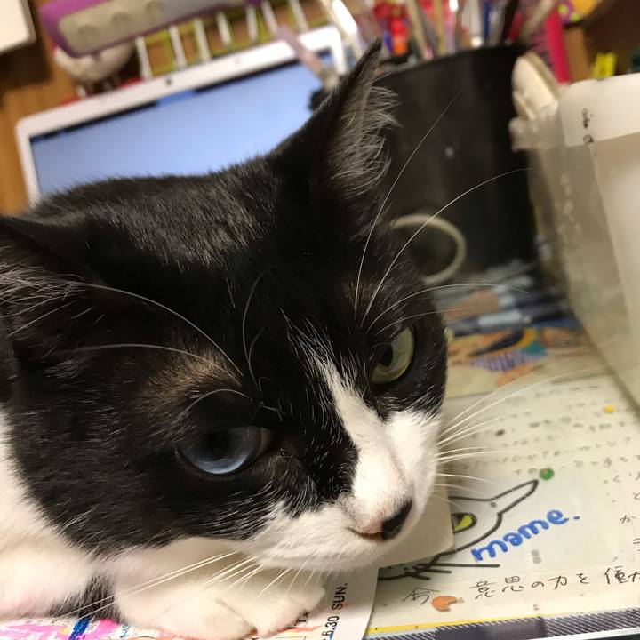 A76adfc7 b601 458e 9e81 6f5ea0f6a45a 1561590373451