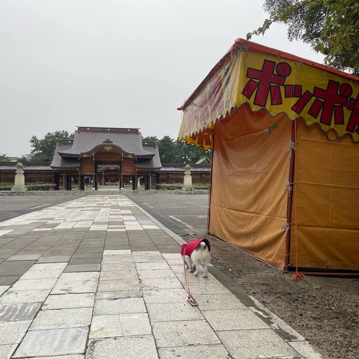 A76af2d9 2127 479d 9f25 c6c29b36c09f 1728254824060