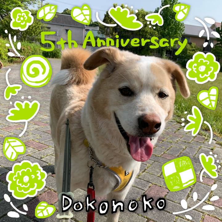 A76b1f07 d2fe 4e67 b819 d59f1acad4bc 1622891331630