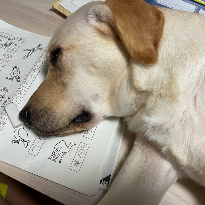 A76b246e 1ed1 41f2 99ae 8c54db255819 1659060489374