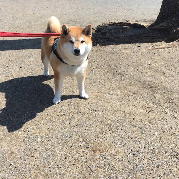 A76b2f1d 7854 4628 9513 aa70008ebb53 1615343000893