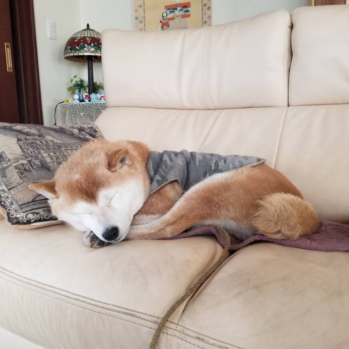 A76b3bd5 f461 4b7f 913c 8139d2dd4483 1678057163731