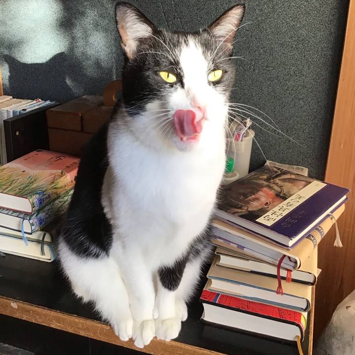 A76b7ec9 359a 49af 8586 1294ed69795a 1734996210361