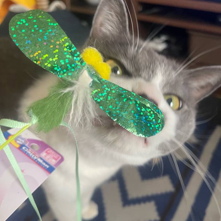 A76bc996 3629 4438 bf74 a8749a07a998 1688181550658