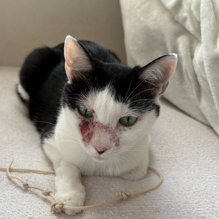 A76be775 94cd 40fd 820d e55df0ab42fa 1763722088224