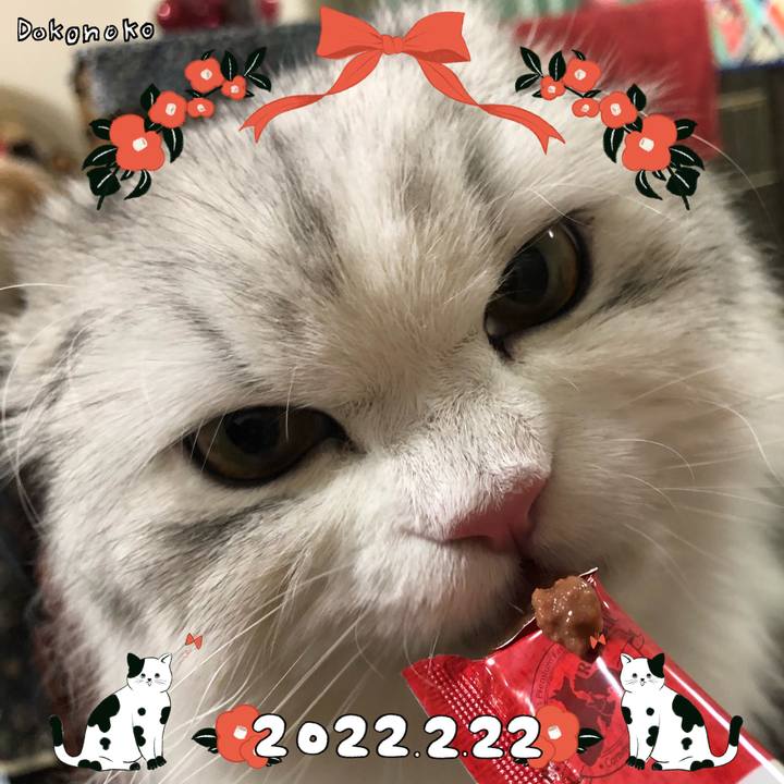 A76bedea 7601 4841 9d37 ca963ffd85d3 1645525352615