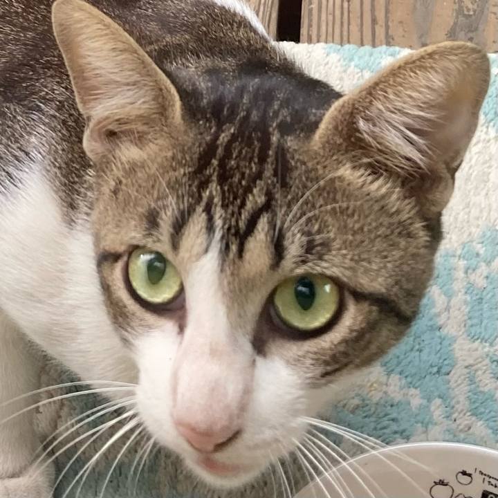 A76c3aee 9a69 4d1b 9a15 2693c4788bcd 1758948326296