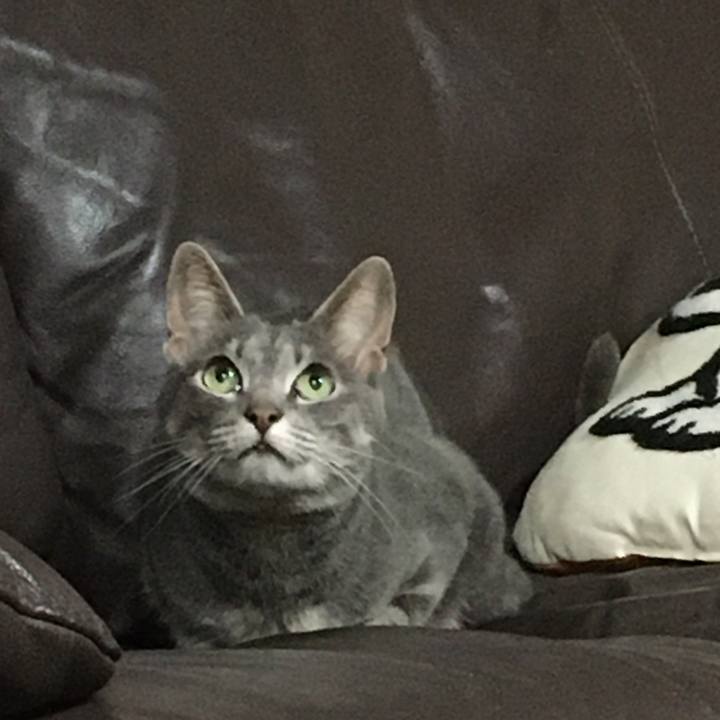 A76c7d13 f37e 4cbf 8955 313f55670d88 1591629423785