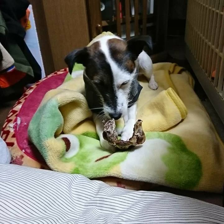 A76c8286 8b77 4ab8 ac61 81d617a2f927 1508330211311