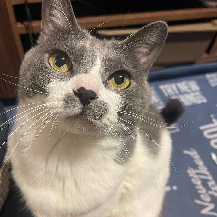 A76c8aae d011 4174 aff1 e12f41264185 1706542521878