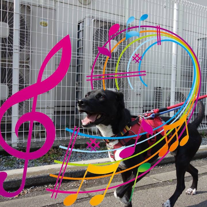 A76ca02d 2ae5 4c0c 8a76 f35b19b7df19 1588038327792