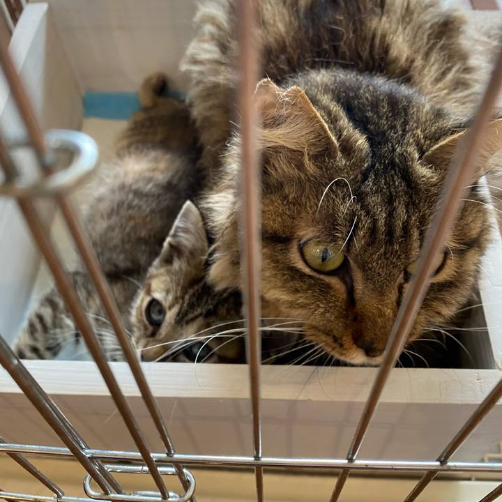 A76ca785 e179 42e5 af43 c796ca1ec670 1654936296159