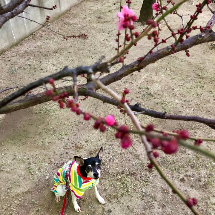 A76cf400 ea17 4593 8d40 1a74e093086a 1548714922370