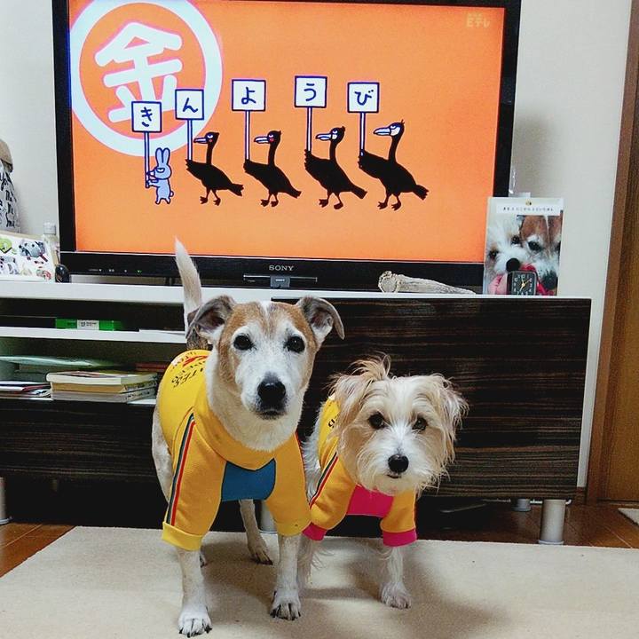 A76d0fae 8354 4ca4 ad7a abb618b8478e 1576794451441