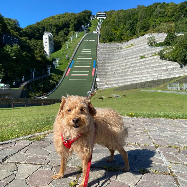 A76d8cf0 0caf 416b b759 ab45316898a0 1662256788648