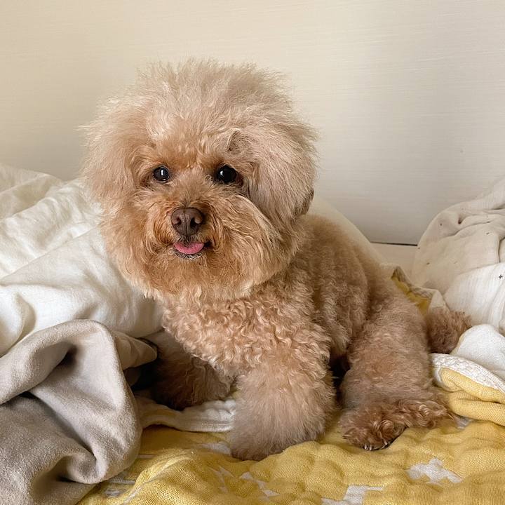 A76da25a 27b4 4c5e a2a1 365cdcdaad17 1691238702803