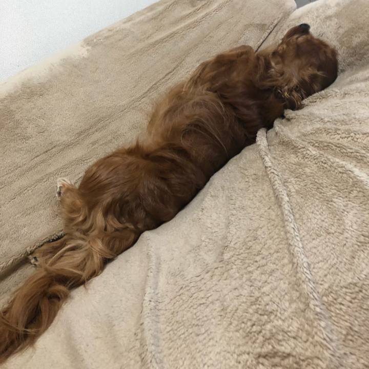 A76da794 a5ac 4753 883f a3362ce986d1 1617026366574