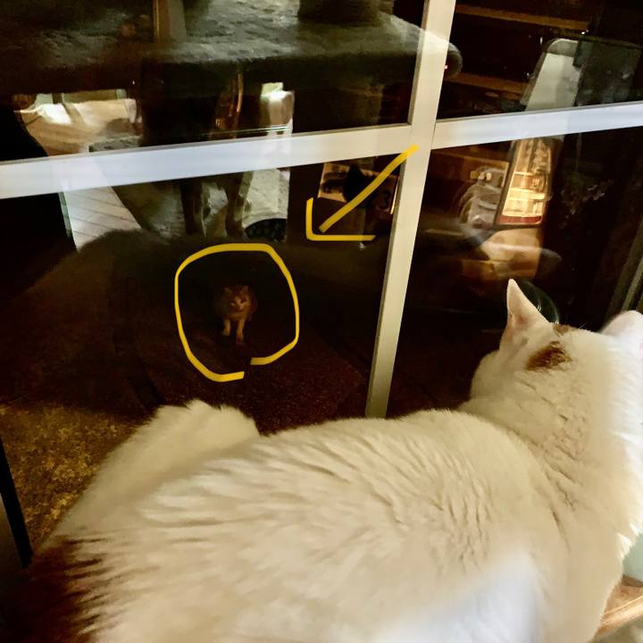 A76db946 f746 45d1 97e2 e9282a4f9362 1664881501120