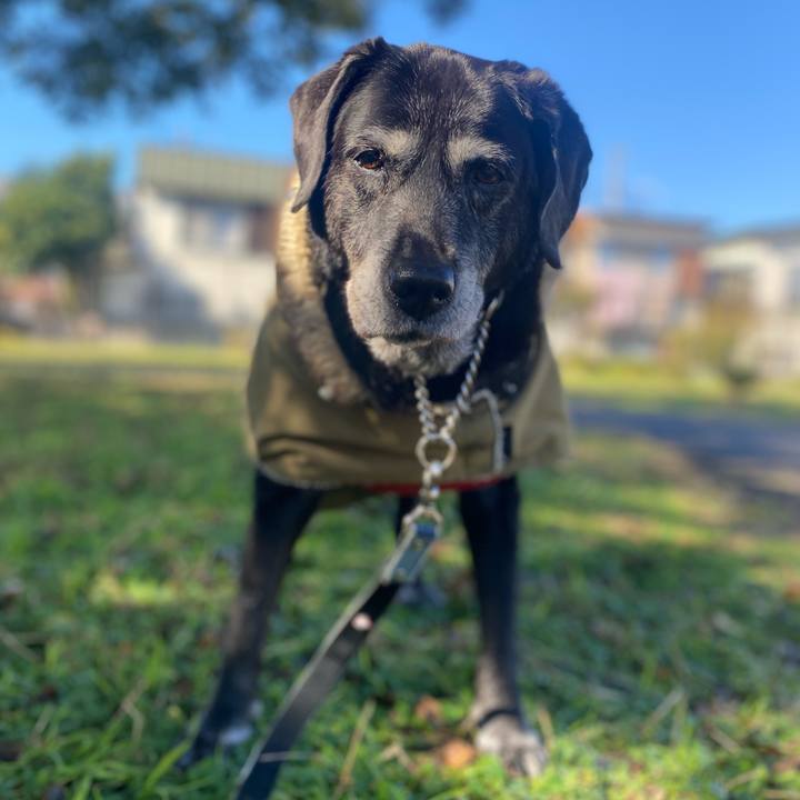 A76dc02c 0c5f 47cf b8f8 62594f74a423 1732238938218