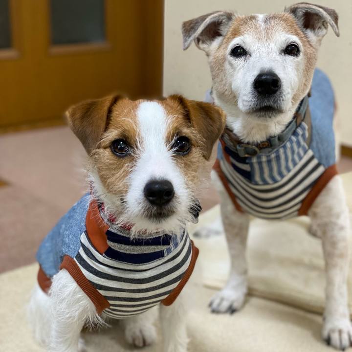 A76dc8de fc72 4151 ad45 a412490beb9b 1648885594058