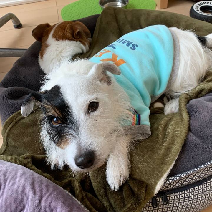 A76dd4b7 cc58 4a1d 90c3 78538217388d 1643157821794