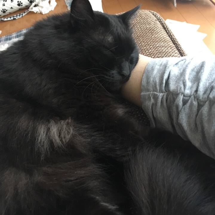 A76dfb52 cc82 4be7 ad23 6f7b3a98a3a0 1521428891868