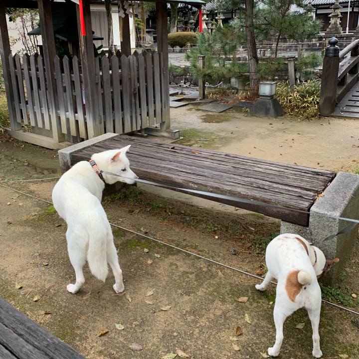 A76e0285 4f9a 409c b83d e805aa301b97 1580001401550