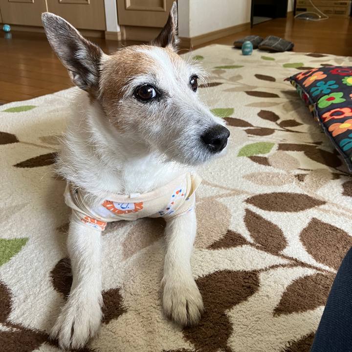 A76e085d 35a1 4fcc ba4d 17e3401eeb9c 1746746286056