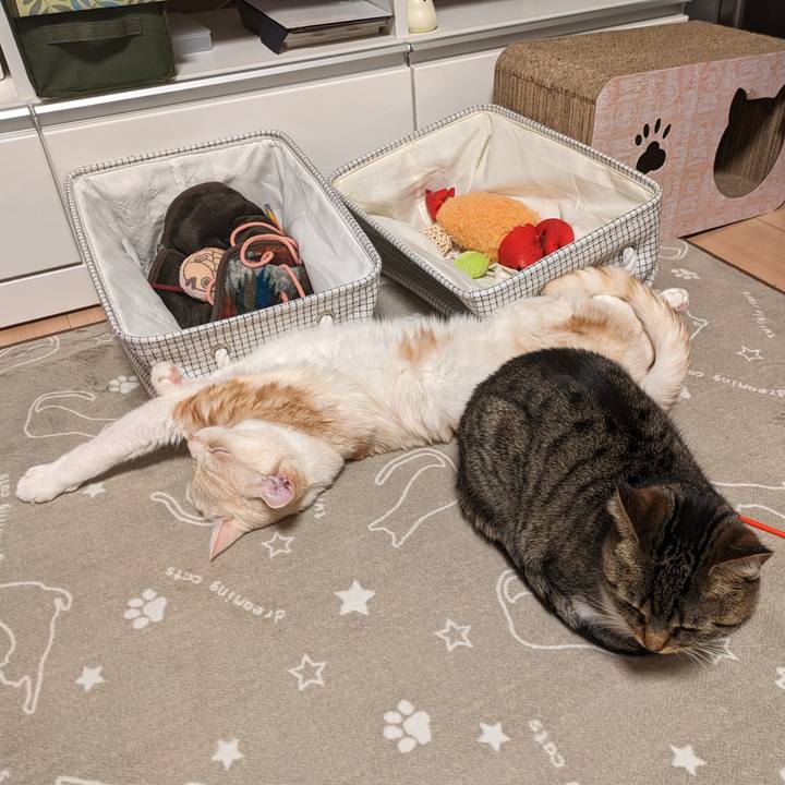 A76e5e8c cae9 4571 8008 04e73a5ab528 1709559525431