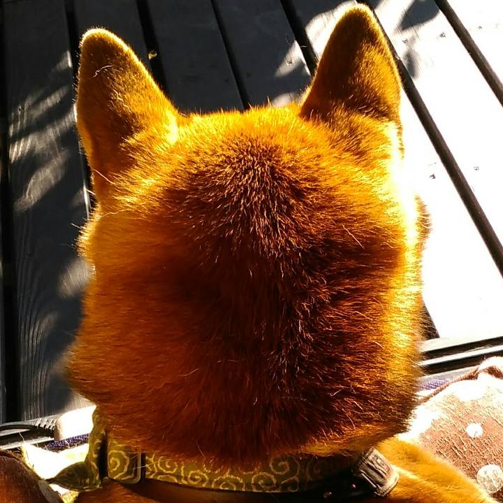 A76e87dd 8907 4aca 8550 44d4d150b1d2 1513572721289